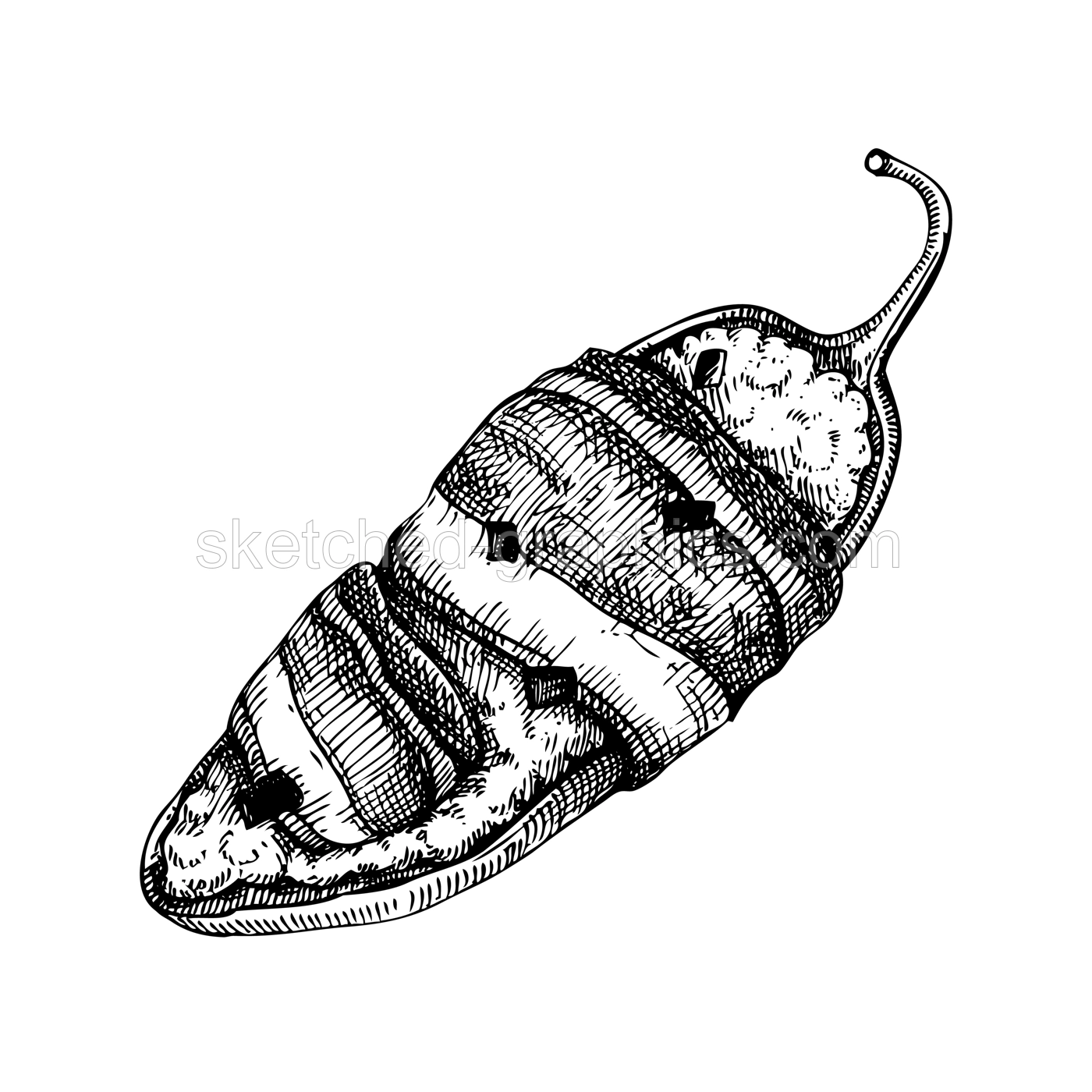 Stuffed jalapeno chili pepper sketches. Hot spices, vegetarian, healthy food hand drawn vector illustration. Mexican cuisine menu design elements. Mexican restaurant food dishes. Illustration
